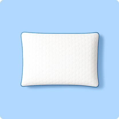 Zeki´s Pillow